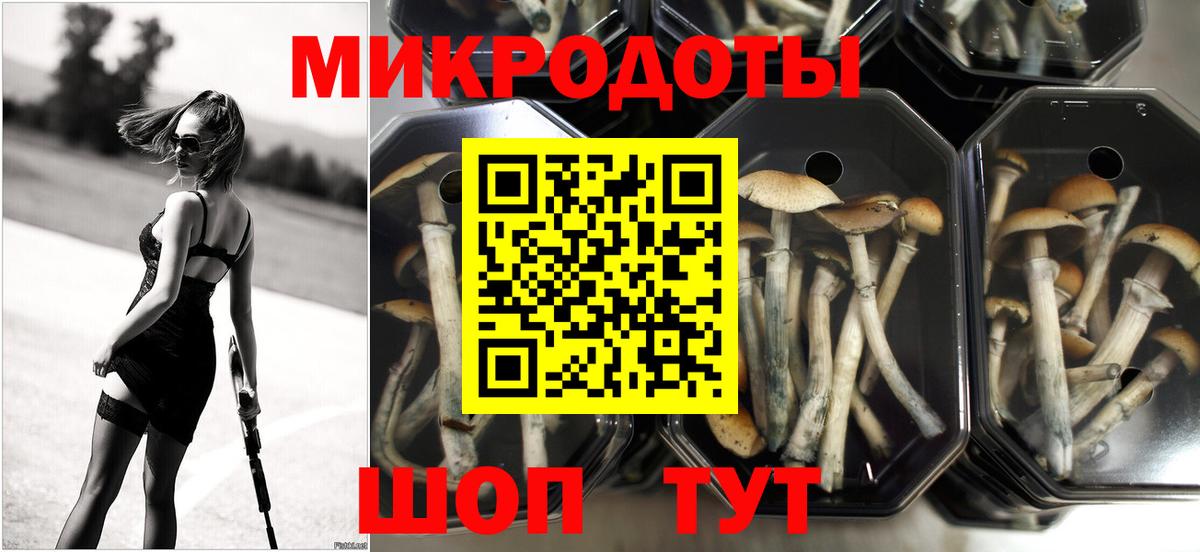 Галлюциногенные грибы Magic Shrooms  Галлюциногенные грибы Psilocybine cubensis  Вход с VPN  Севастополь 